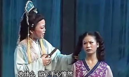 真假夫人 电视剧,爱恨纠葛，真相揭晓