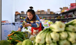 长春最新吃瓜事件爆料新闻,揭秘幕后真相，网络热议事件全解析