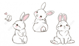 动漫兔兔,动漫世界的奇幻冒险